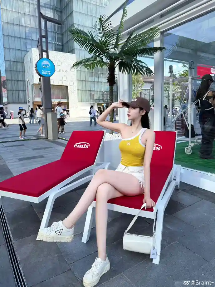 写作软件使用统计